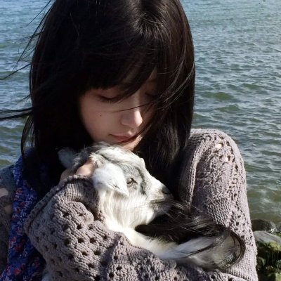 道格与蓝猫